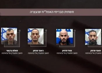 החולייה שחשף היום השב"כ: הבריחו נשק ורחפנים 
