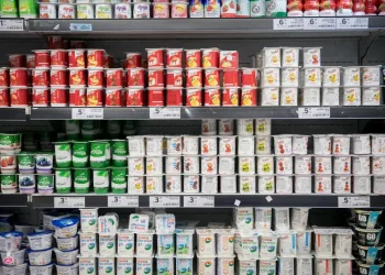 על אף המחאות - ועדת השרים אישרה את רפורמת החלב של סמוטריץ'