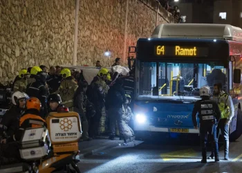 נהג האוטובוס שנעצר בדריסה הקטלנית בירושלים טוען: "חשתי בסכנת חיים"