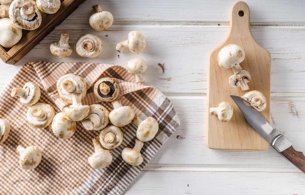 המדריך המלא לכשרות פטריות טריות במטבח הביתי המדריך המלא לכשרות פטריות טריות במטבח הביתי