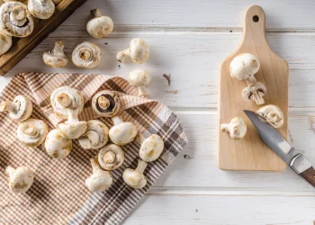 המדריך המלא לכשרות פטריות טריות במטבח הביתי המדריך המלא לכשרות פטריות טריות במטבח הביתי