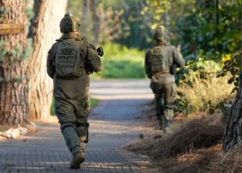 חיזוק ליישובים: אלפי רובי סער "ערד" חולקו לכיתות הכוננות ברחבי הארץ