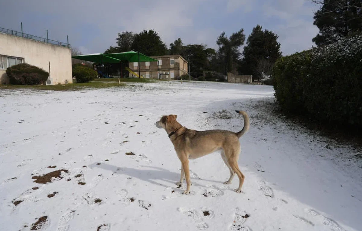הסערה בפתח, ובלי שלג בירושלים: החזאי מפריך את השמועות