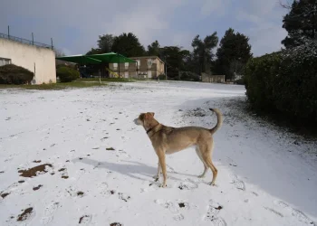 הסערה בפתח, ובלי שלג בירושלים: החזאי מפריך את השמועות