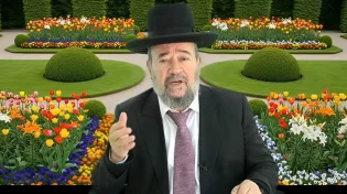 תלונת משה - פרשת וארא | הרב דוד הכהן