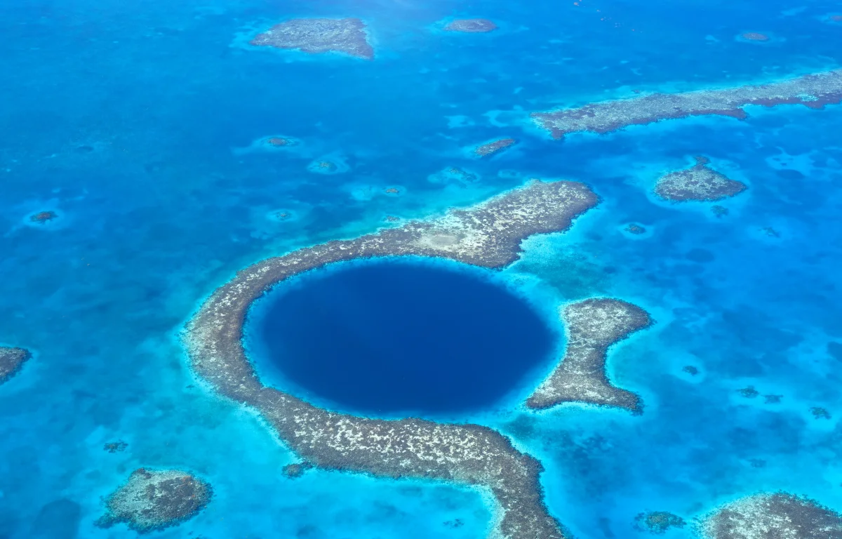 מעבדת טבע בלב האוקיינוס: הגילוי שמפתיע את עולם המדע