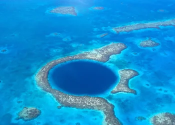 מעבדת טבע בלב האוקיינוס: הגילוי שמפתיע את עולם המדע