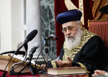 הראש״ל רבי יצחק יוסף בפסק מפתיע: "האם הלימון נחשב פרי?"