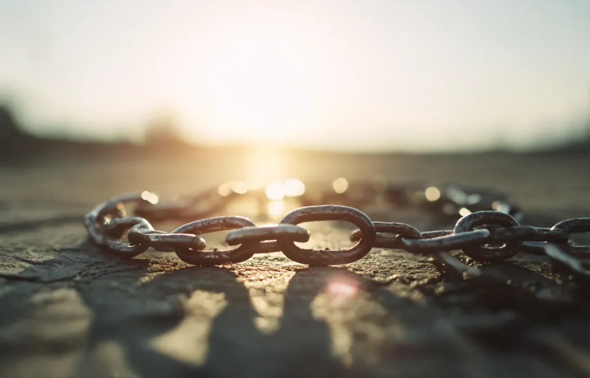 "הפרעה שבתוכנו": חירות אמיתית לא מתחילה בחוץ אלא בניצחון הפנימי "הפרעה שבתוכנו": חירות אמיתית לא מתחילה בחוץ אלא בניצחון הפנימי