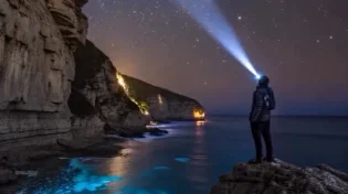 כך נראה אחד הפלאים הכי מפתיעים של ניו זילנד