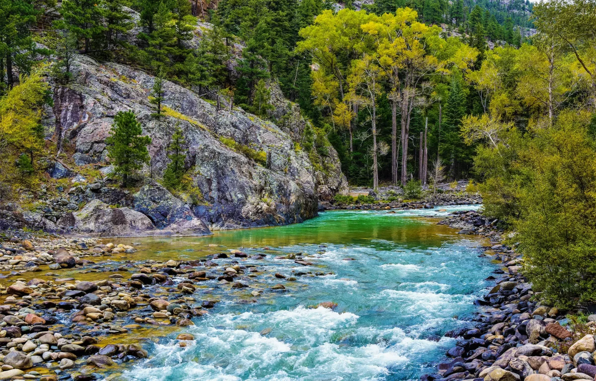 "מרוממת את הנשמה": הסיבה העמוקה לאמירת נשמת כל חי