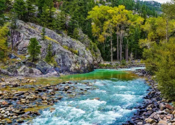 "מרוממת את הנשמה": הסיבה העמוקה לאמירת נשמת כל חי