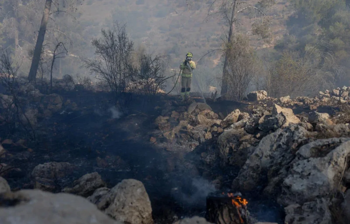 "מאות יצירות עלו באש": תביעת ענק נגד חברת החשמל