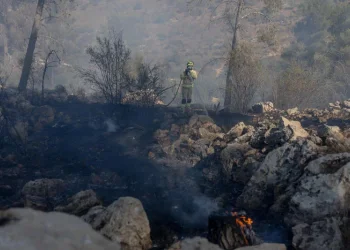"מאות יצירות עלו באש": תביעת ענק נגד חברת החשמל