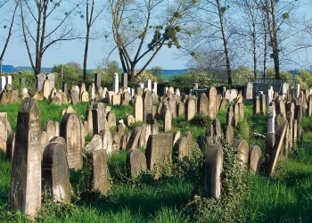 העימות ההלכתי ששינה את עולם הפסיקה האשכנזי