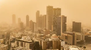 האובך נגמר האבק נשאר: כך תנקו נכון את הבית