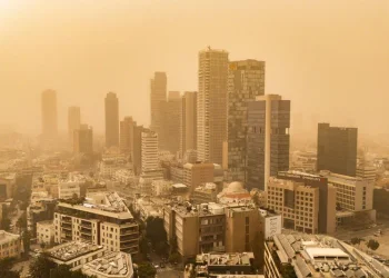 האובך נגמר האבק נשאר: כך תנקו נכון את הבית