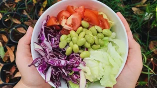 שומרים על הגזרה בין החגים: המדריך למשפחה הבריאה