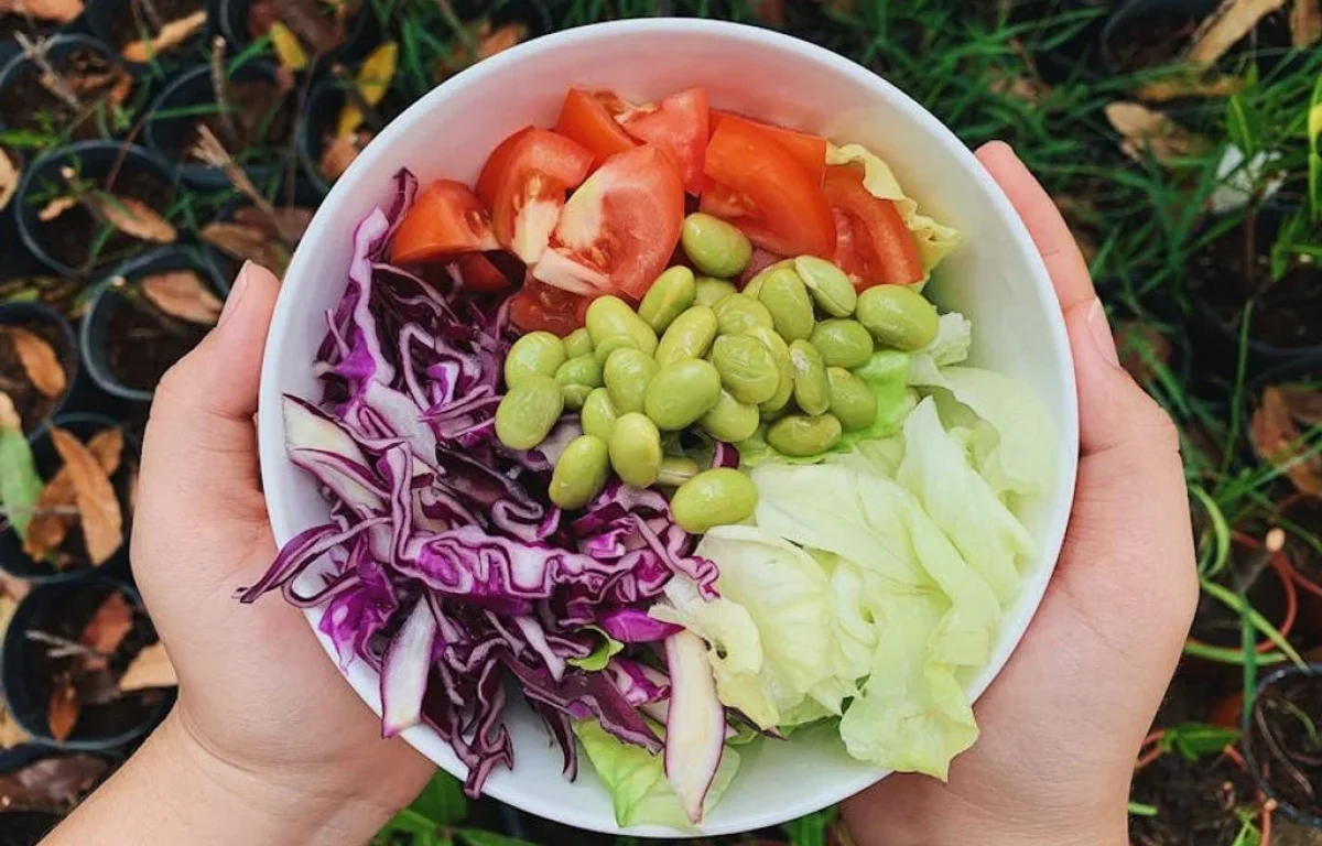 ארוחות בריאות