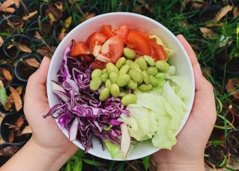 ארוחות בריאות