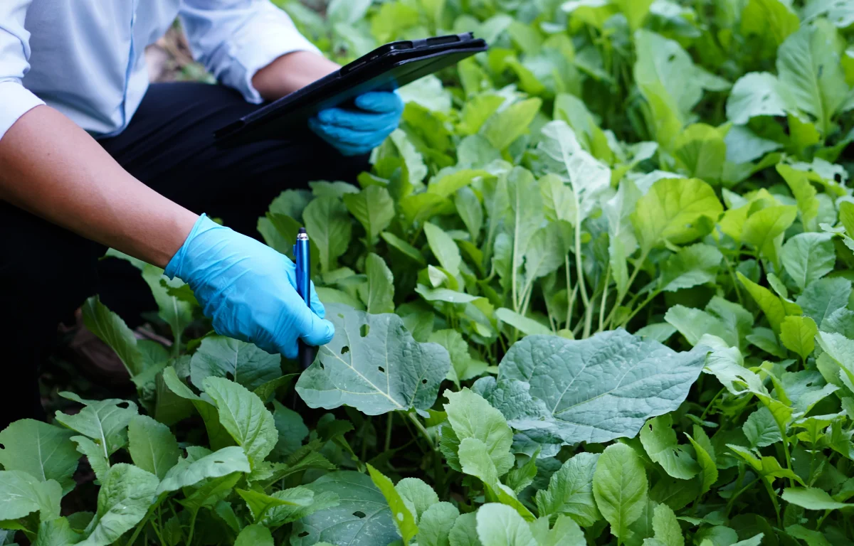 דיון סוער בוועדת הבריאות: ממצאים מדאיגים על תוצרת מהרשות הפלסטינית