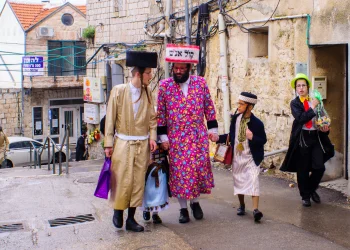 חוגגים שושן פורים? 10 סגולות נדירות לפורים שלא תרצו לפספס חוגגים שושן פורים? 10 סגולות נדירות לפורים שלא תרצו לפספס