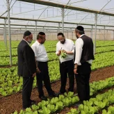 למה מוצר כשר כל השנה נעלם בפסח מהמהדרין? הסיבה תפתיע אתכם