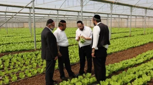 למה מוצר כשר כל השנה נעלם בפסח מהמהדרין? הסיבה תפתיע אתכם