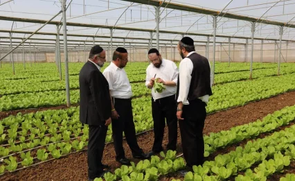 למה מוצר כשר כל השנה נעלם בפסח מהמהדרין? הסיבה תפתיע אתכם