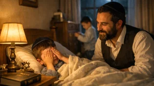 חינוך זה לא אילוף: השיטה שתשנה את הבית שלכם