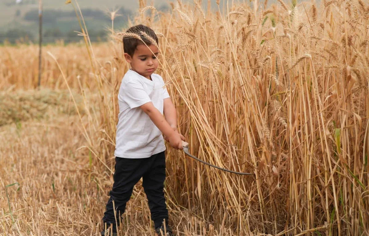"ספירת העומר": כך בונים את עצמנו יום אחרי יום