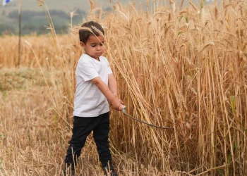 "ספירת העומר": כך בונים את עצמנו יום אחרי יום