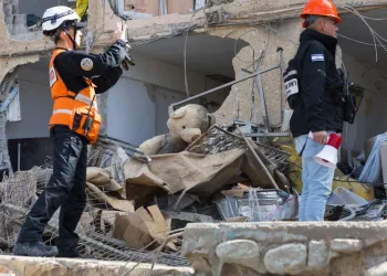 המספרים נחשפים: עשרות אלפי פניות לרשות המסים