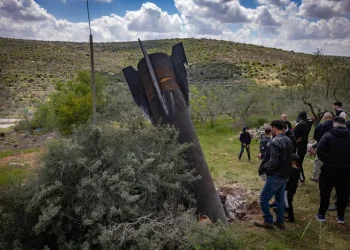 בלי טיולים בחג: קק"ל סוגרת את כל היערות בישראל בעקבות המצב הבטחוני