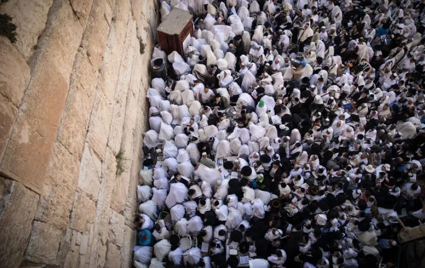 "בין קודש לחול": כך תעברו נכון את ימי חול המועד פסח "בין קודש לחול": כך תעברו נכון את ימי חול המועד פסח