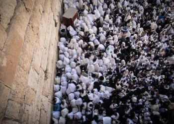 "בין קודש לחול": כך תעברו נכון את ימי חול המועד פסח