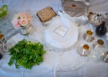 יין או מיץ ענבים? כך תקיימו את מצוות "ארבע כוסות" בלי כאב ראש