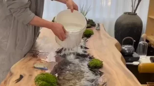 כך שולחן אוכל הפך ליצירת אמנות חיה ומרהיבה