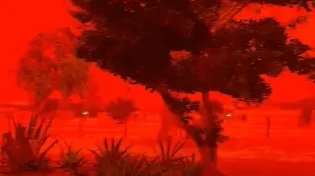 מראה אפוקליפטי באוסטרליה: השמיים נצבעו באדום