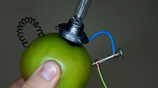 תפוח, מים ומלח: הסרטון שמטלטל את עולם האנרגיה