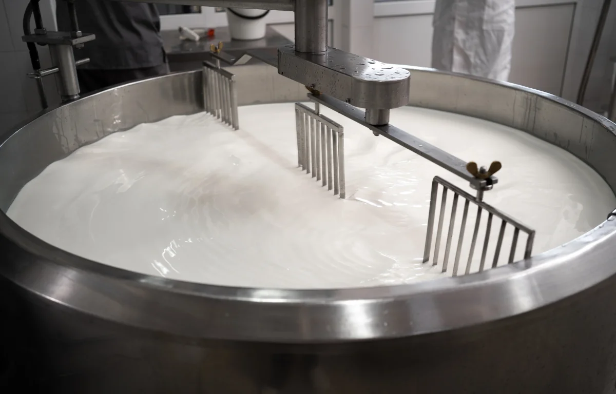 האם חלב מפוסטר נחשב בישולי גויים? התשובה מפתיעה