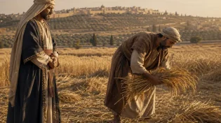 השדה, העני והמקדש: המסר העמוק שמסתתר בפרשת השבוע