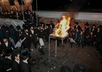 היום שמסוגל לישועות: 7 סגולות נדירות לקראת היום הקדוש - "ל"ג בעומר"
