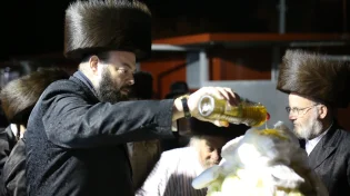 לא רק ח"י רוטל: כל הסגולות לל"ג בעומר שאתם חייבים להכיר