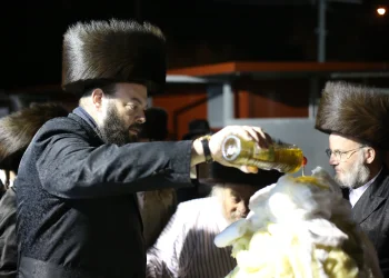 לא רק ח"י רוטל: כל הסגולות לל"ג בעומר שאתם חייבים להכיר