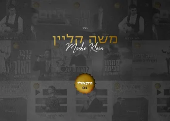 אלבום ווקאלי - משה קליין