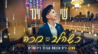 שי וינר - "כשהלב בוכה" (קאבר)