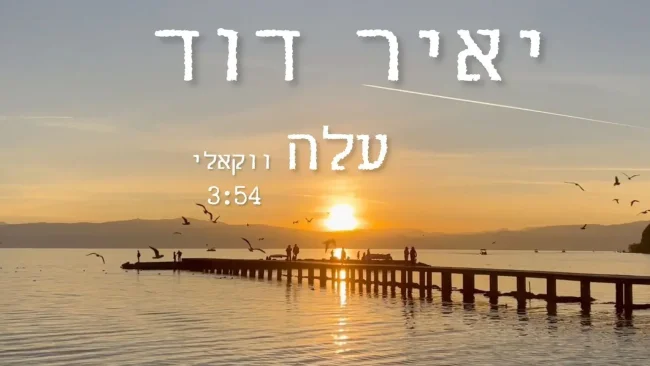 יאיר דוד בגרסה ווקאלית לשירו המרגש - "עלה"