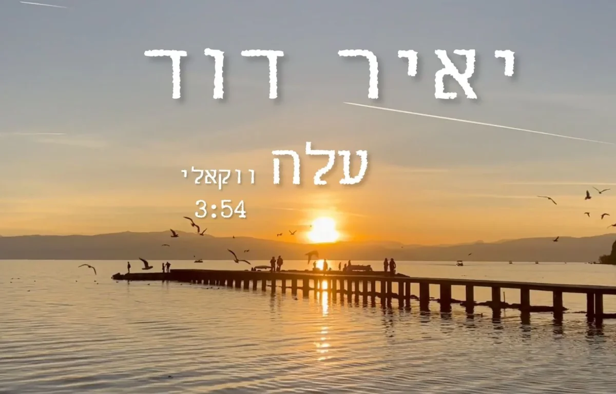 יאיר דוד - "עלה"
