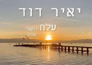 יאיר דוד - "עלה"